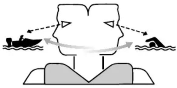 YAMAHA XTO (2023) - Izogibanje trkom - 1