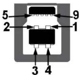DELL P1917SWh - Universal serial bus (USB) interface - 2