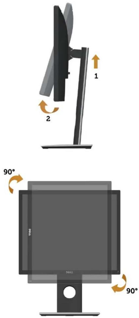 DELL P1917SWh - Rotating the Monitor - 1