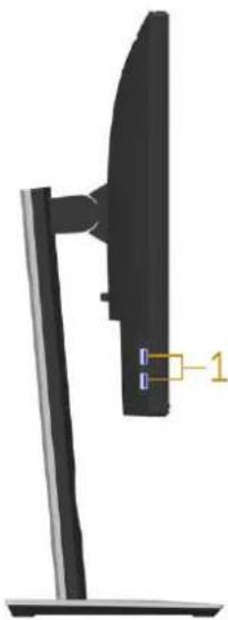 DELL P1917SWh - Side View - 1