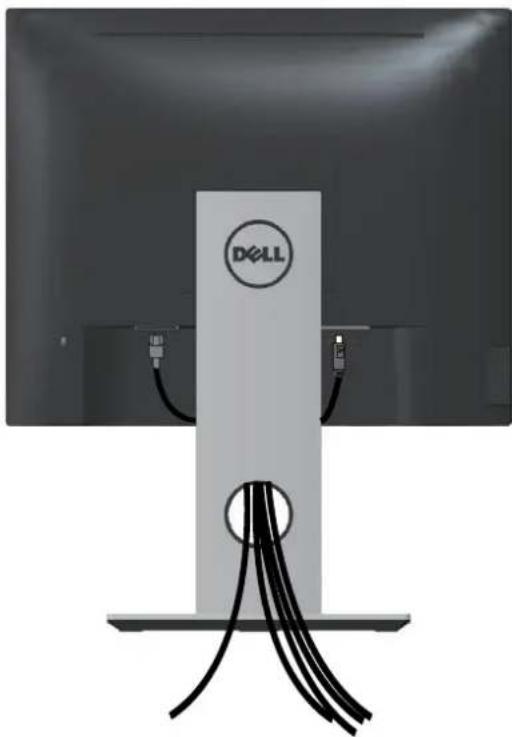 DELL P1917SWh - Organizing cables - 1