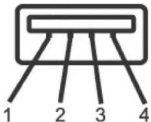 DELL P1917SWh - USB 2.0 Downstream Connector - 1