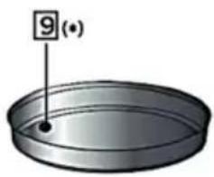 9(*)