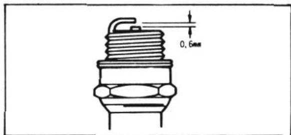 0,6mm