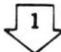 Shindaiwa BP40LA - 엔진이 따뜻할 때: - 1