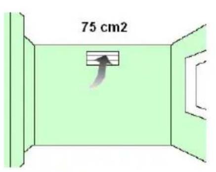 75 cm2