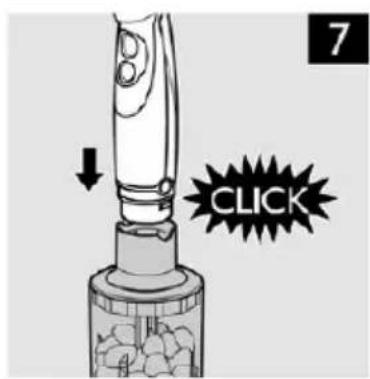 7 CLICK