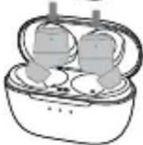 BLUEANT Pump Air Pro - Power - 2