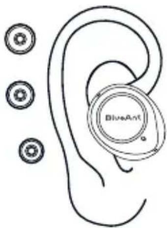 BlueAnt