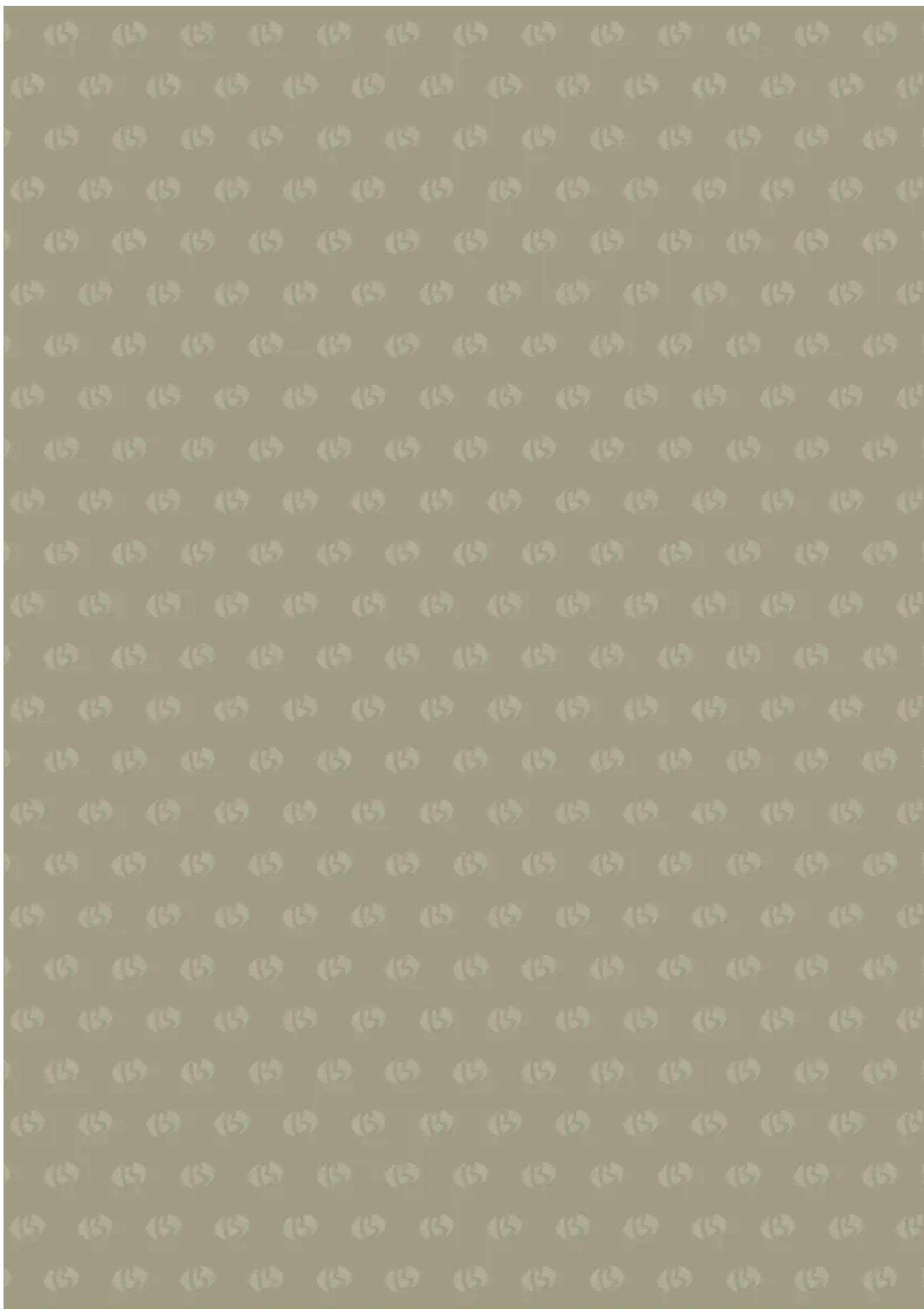 BINATONE FMO 20M22 W - ГАРАНТИЙНЫЕ УСЛОВИЯ - 1