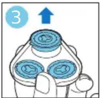 3 ↑