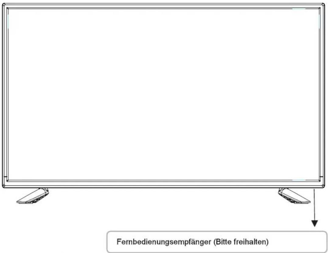 Reflexion LDDW40i - Anschlüsse Rückseite: - 1