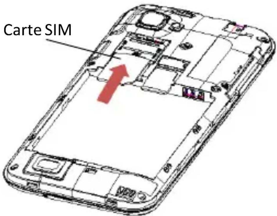 Carte SIM