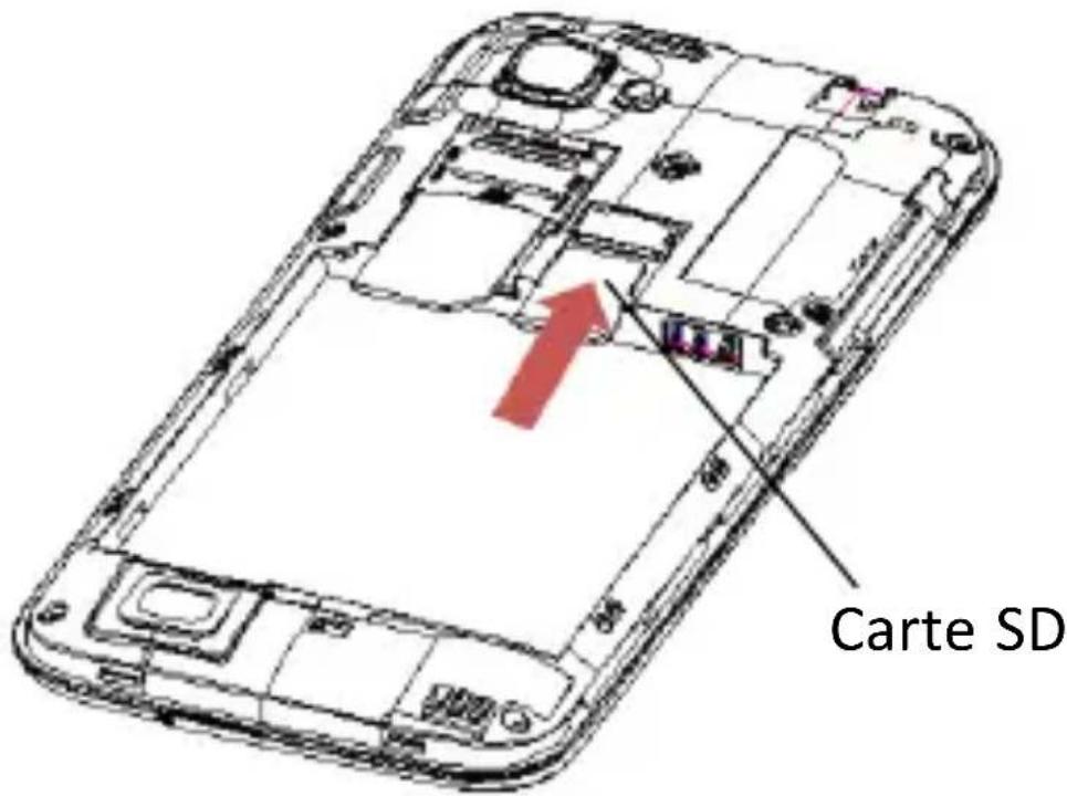 Carte SD