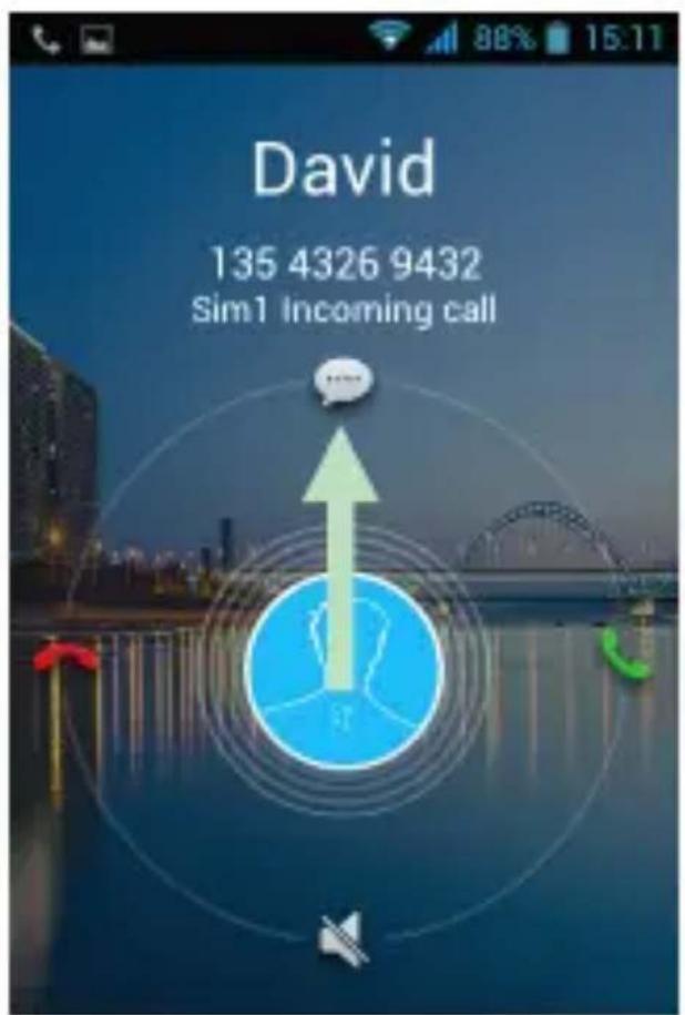 David 135 4326 9432 Sim1 Incoming call