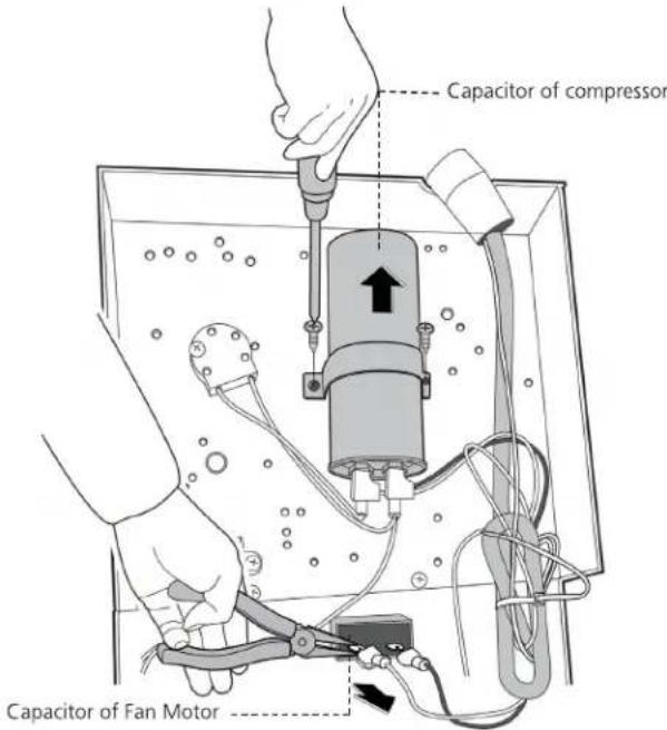 Premium Levella PAC24337 - Electrical parts - 3