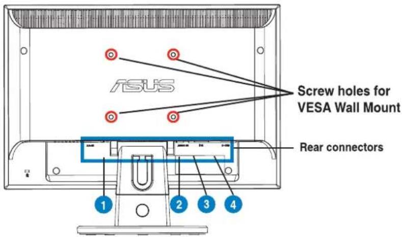 ASUS VW199DL - Rear of the LED monitor - 1