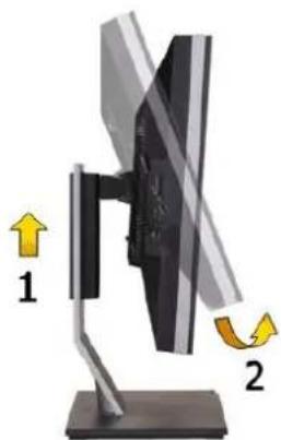 DELL U2410 - Rotating the Monitor - 1