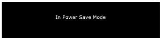 DELL 1907FPV - Power Management Modes - 3