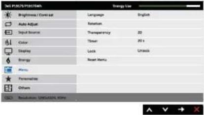 DELL P2217Wh - Auto Adjustment in Progress... - 21