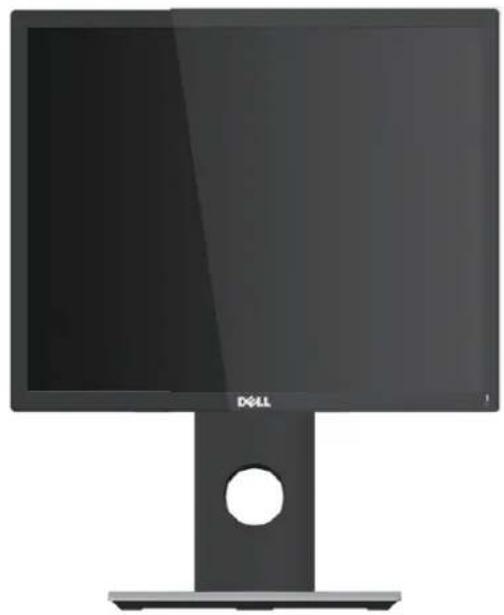 DELL P2217Wh - Front View - 1
