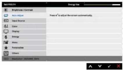 DELL P2217Wh - Auto Adjust - 2