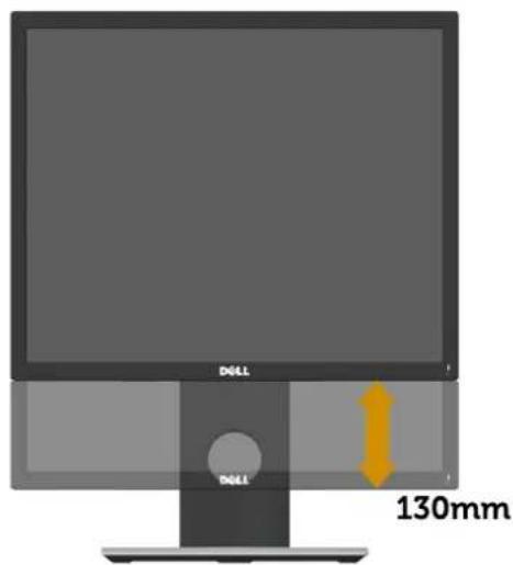 DELL P2217Wh - Vertical Extension - 2