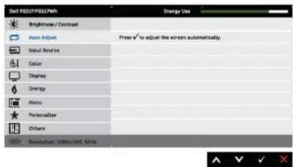 DELL P2217Wh - Auto Adjust - 3