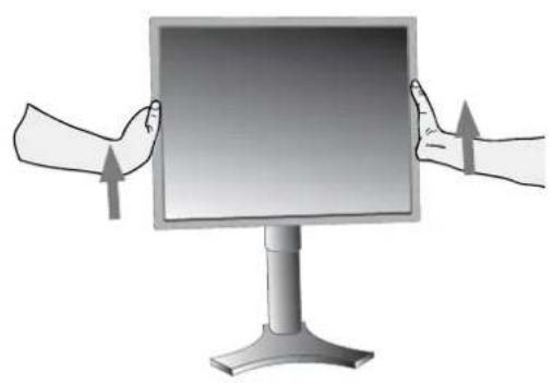 NEC MultiSync 2490WUXi - Élévation et descente de l'écran du moniteur - 1