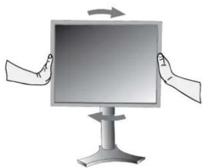 NEC MultiSync 2490WUXi - Élévation et descente de l'écran du moniteur - 2