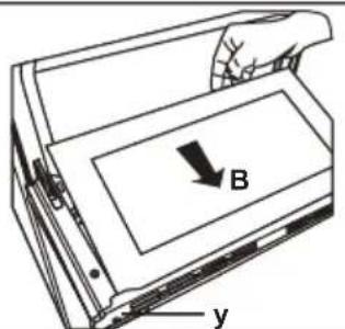 B y