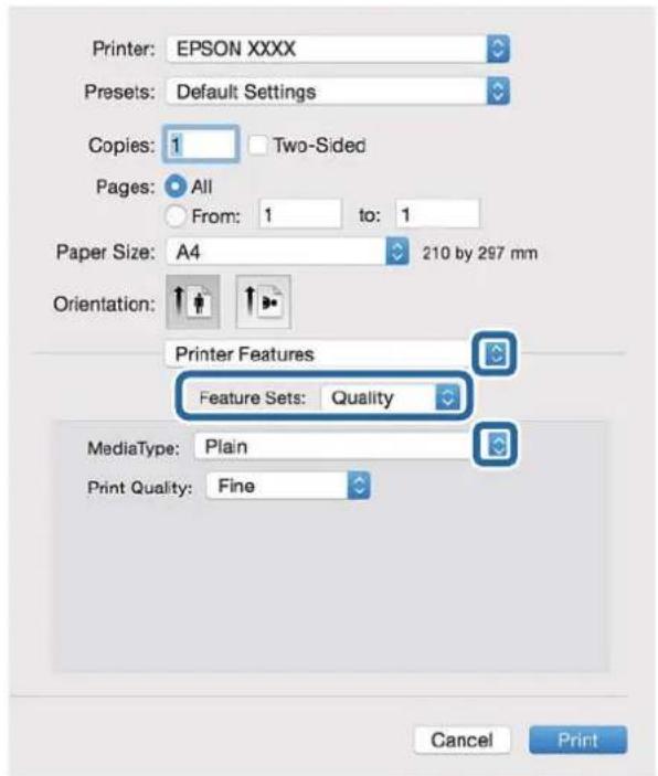Printer: EPSON XXXX Presets: Default Settings Copies: 1 Two-Sided Pages: All From: 1 to: 1 Paper Size: A4 210 by 297 mm Orientation: Printer Features Feature Sets: Quality MediaType: Plain Print Quality: Fine Cancel Print