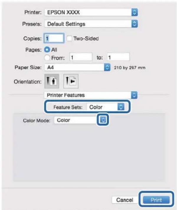 Printer: EPSON XXXX Presets: Default Settings Copies: 1 Two-Sided Pages: All From: 1 to: 1 Paper Size: A4 210 by 297 mm Orientation: Printer Features Feature Sets: Color Color Mode: Color Cancel Print