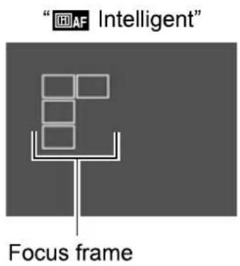 "AF Intelligent" Focus frame