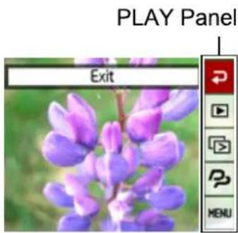 PLAY Panel Exit