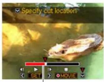 Specify cut location SET MOVIE