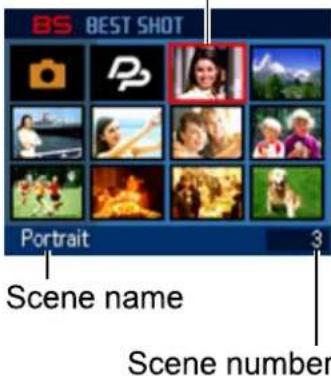 BS BEST SHOT Portrait Scene name Scene number