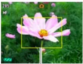 CASIO Exilim Hi-Zoom EX-H5 - To focus with manual focus - 1