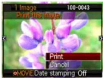 1 Image 100-0043 Print this image. Print Cancel MOVIE Date stamping Off