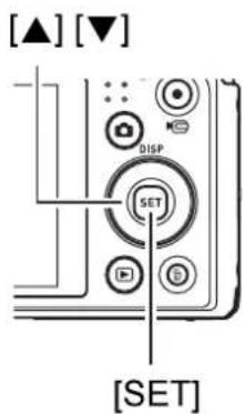 [▲] [▼] DISP SET [SET]