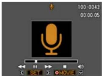 100-0043 00:00:05 SET MOVIE