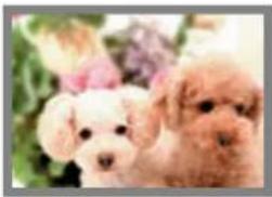 CASIO Exilim Hi-Zoom EX-H5 - Image Size Selection Tips - 1
