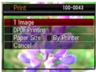 Print 100-0043 1 Image DPOF Printing Paper Size By Printer Cancel