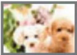 CASIO Exilim Hi-Zoom EX-H5 - Image Size Selection Tips - 2