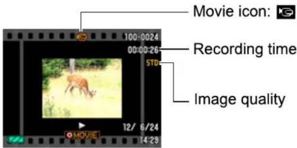 Movie icon: 100-0024 00:00:26 STD Recording time Image quality 12/ 6/24 14:29