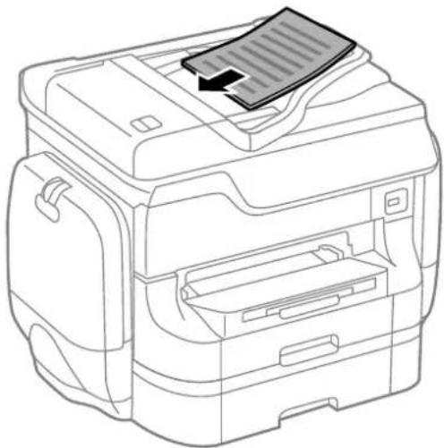 EPSON WorkForce Pro WF-R8590DTWF - Placing Originals - 1