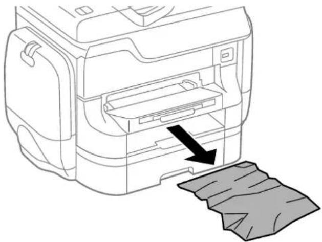 EPSON WorkForce Pro WF-R8590DTWF - Solving Problems - 1