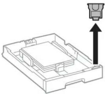 EPSON WorkForce Pro WF-R8590DTWF - Important: - 1