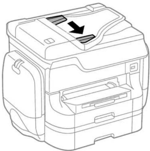 EPSON WorkForce Pro WF-R8590DTWF - Placing Originals on the ADF - 1