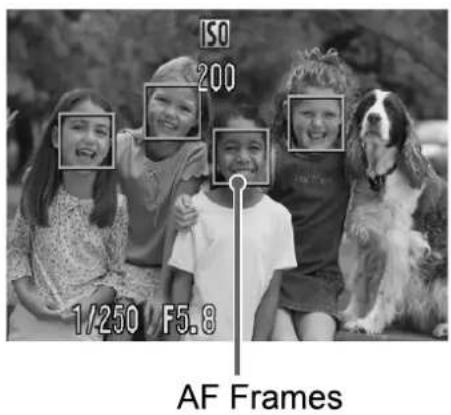 ISO 200 1/250 F5.8 AF Frames